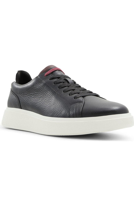 Layton Low Top Sneaker (Men)