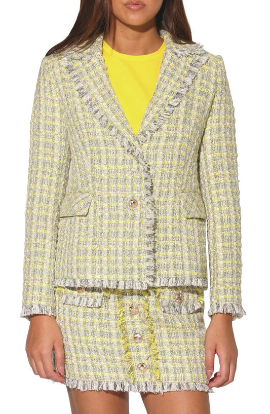 Damon Tweed Blazer Jacket