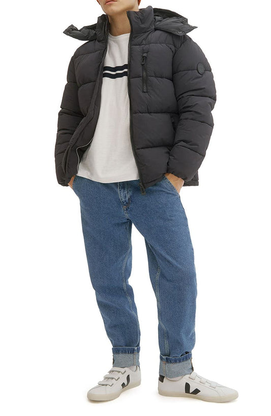 Baltimore Puffer