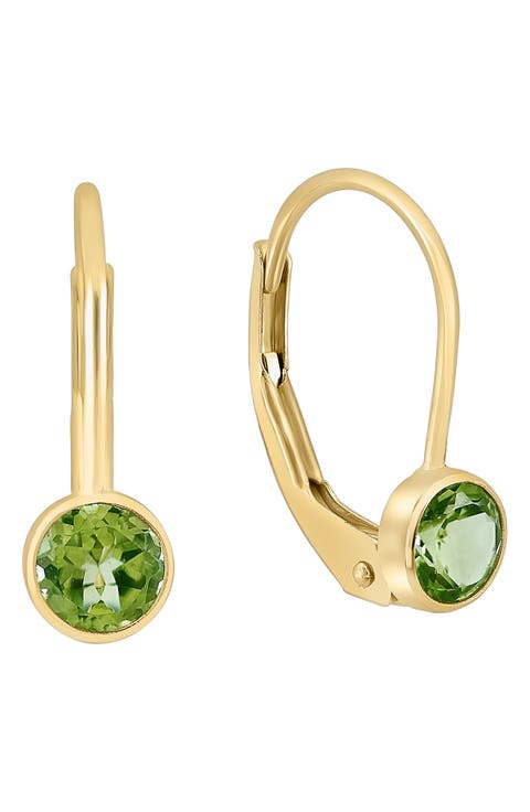 Stone Lever Back Earrings