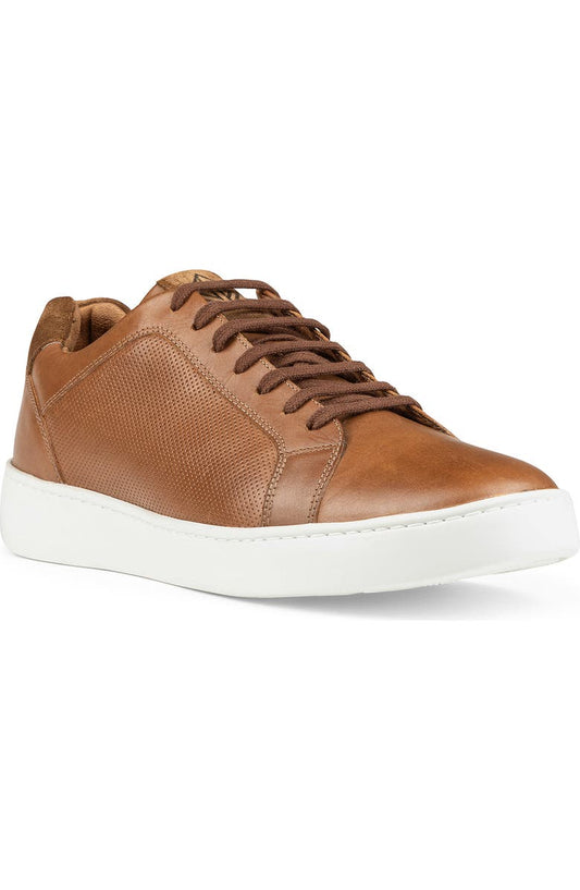 Perforated Sneaker (Men)