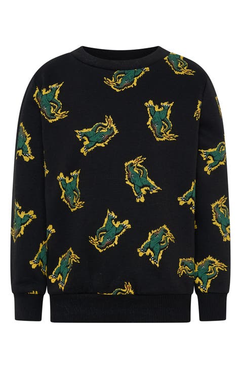 Suéter Fire Dino Graphic para niños pequeños (niños pequeños y niños pequeños)